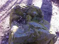ImageUploadedByTreasureNet.com1433120676.243624.webp
