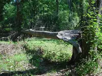 DSC06435.webp