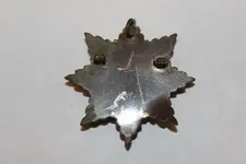 Medal back.webp