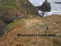 Ocean Cliff Finds 5-31-15 001.JPG