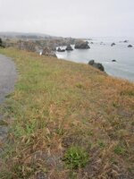 Ocean Cliff Finds 5-31-15 004.JPG