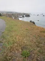 Ocean Cliff Finds 5-31-15 004.webp