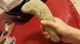 Artifact2.webp