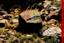 DSCF1705-signs-line-eagle.webp
