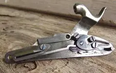 1855.webp 1855.webp