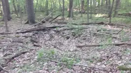 20150605_184953.webp