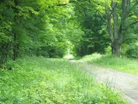 trail.webp
