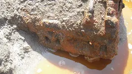 CIMG5000.webp