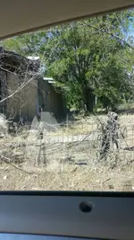 1435800442391.webp