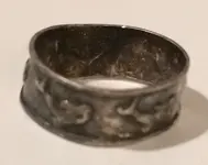 Ring cropped.webp