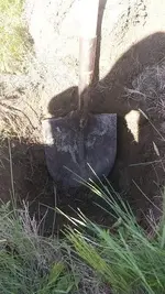 farm3.webp