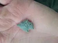 20150605_160337.webp