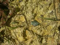 20150605_141030.webp