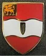 82nd-field-artillery-battalion-distinctive-unit-insignia-pair.webp