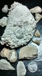 1435141561658.webp