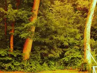 035.webp