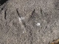 DSCF1607.webp
