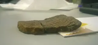 pottery2.webp