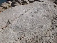 DSCF1617.webp