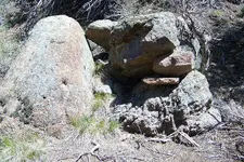 minitrap07.webp