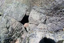 closeupmini1.webp