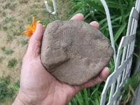 DSCF4762.webp