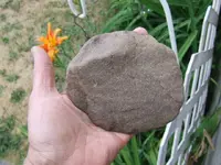 DSCF4763.webp