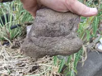 DSCF4751.webp