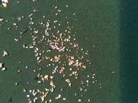 ImageUploadedByTreasureNet.com1434384506.991482.webp
