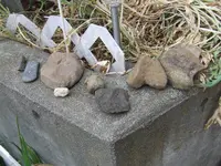 DSCF4750.webp