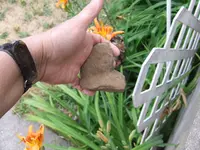 DSCF4759.webp