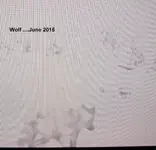 Cam 5 June 2015 Text.webp