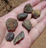 Gold Basin Meteorites.jpg