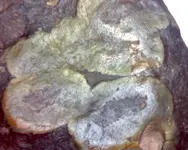 Image756.webp Image756.webp