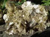 yard rocks 004.webp