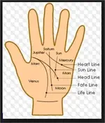 Left Palm.webp