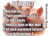10253781_10152362659668548_5715751139248139_n.webp