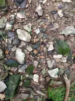 ImageUploadedByTreasureNet.com1435171772.991367.webp