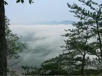 ImageUploadedByTreasureNet.com1435873564.171676.webp