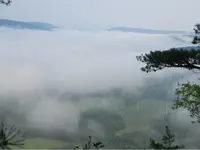ImageUploadedByTreasureNet.com1435873760.136194.webp