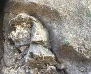 rock 2.webp