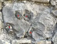 rock 1A.webp