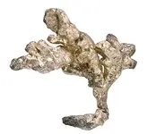 Jesuit-trade-rings.webp