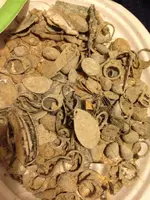 ImageUploadedByTreasureNet.com1434409016.244646.webp ImageUploadedByTreasureNet.com1434409016.244646.webp