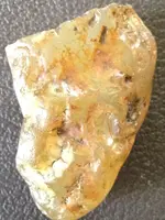 ImageUploadedByTreasureNet.com1436633835.001519.webp