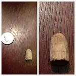 ImageUploadedByTreasureNet.com1435888109.826617.webp