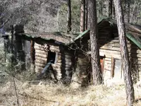 004.webp