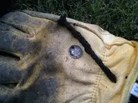 ImageUploadedByTreasureNet.com1435897347.352125.webp ImageUploadedByTreasureNet.com1435897347.352125.webp
