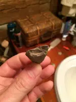 ImageUploadedByTreasureNet.com1436639359.652334.webp
