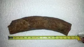 damon-fossil-001.webp damon-fossil-001.webp
